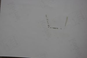 1 (7)