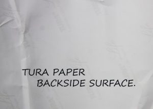 BACK SURFACE OF TURA copy